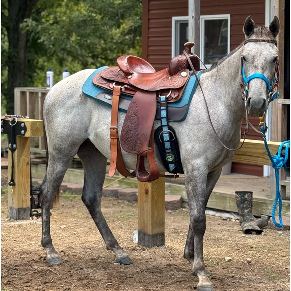 Meet your Posher, Mandi - Picture 13 of 16